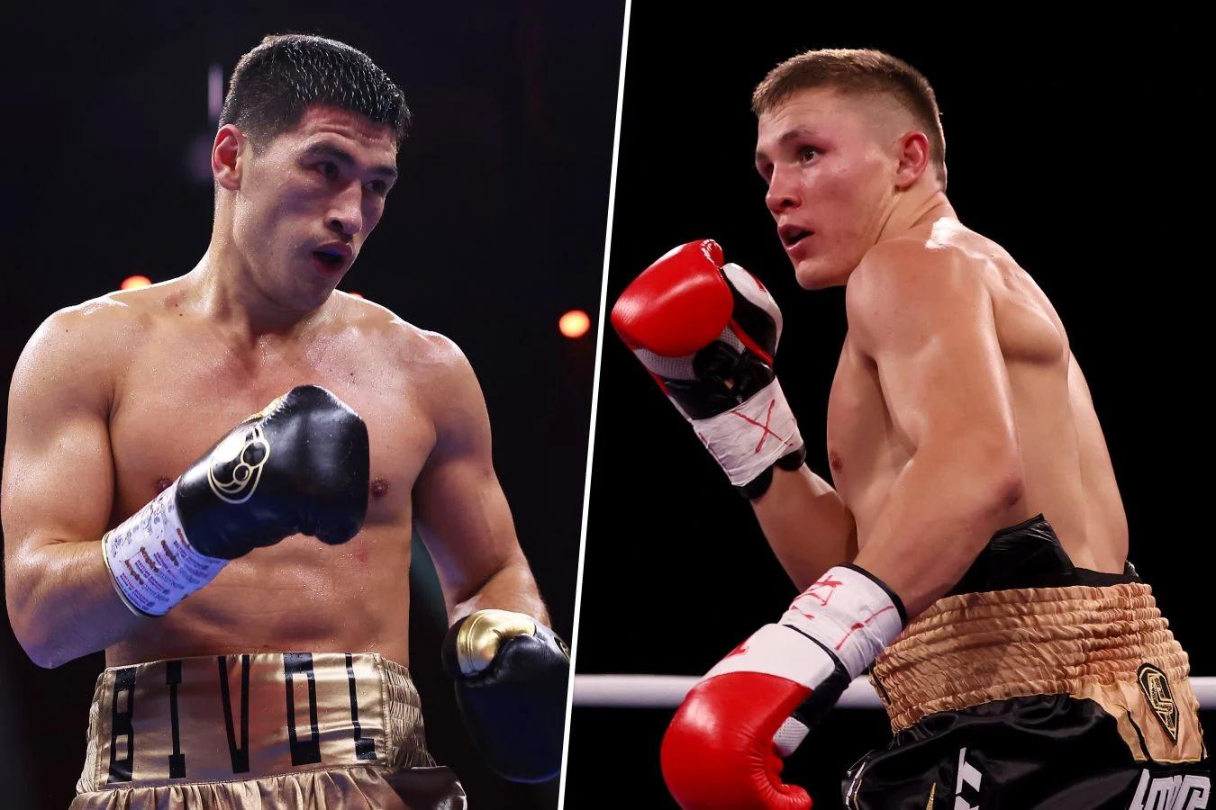 Афиша: Dmitrii Bivol VS Michael Eifert